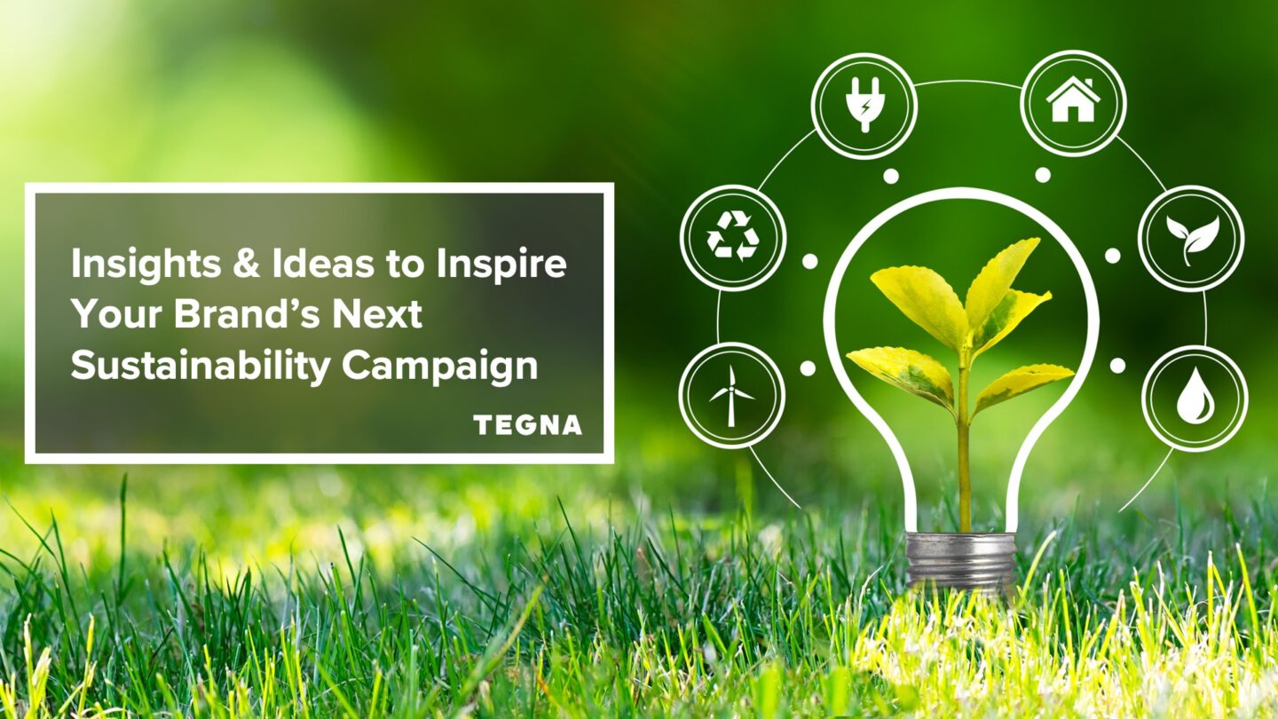 3 Sustainability Campaign Ideas With Examples image