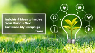 3 Sustainability Campaign Ideas With Examples image