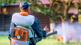 Pest Control Solutions image