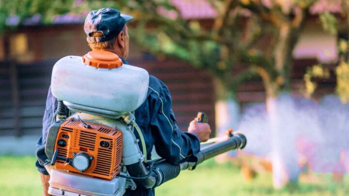 Growth to Grit: WUSA Discusses How to Capture Consumers' Short Attention Spans image
